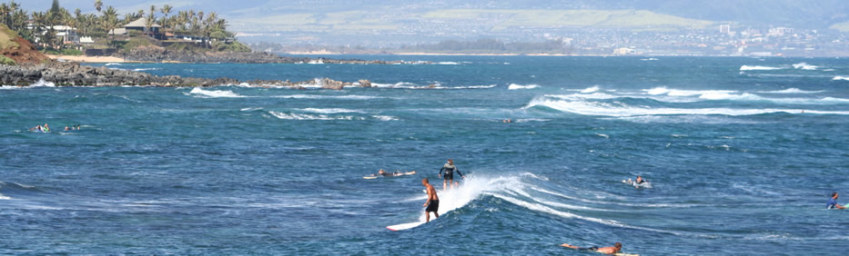The best Sup holidays!