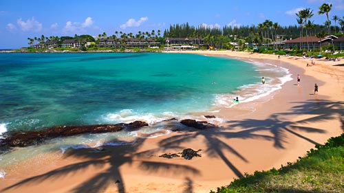Maui sup holidays