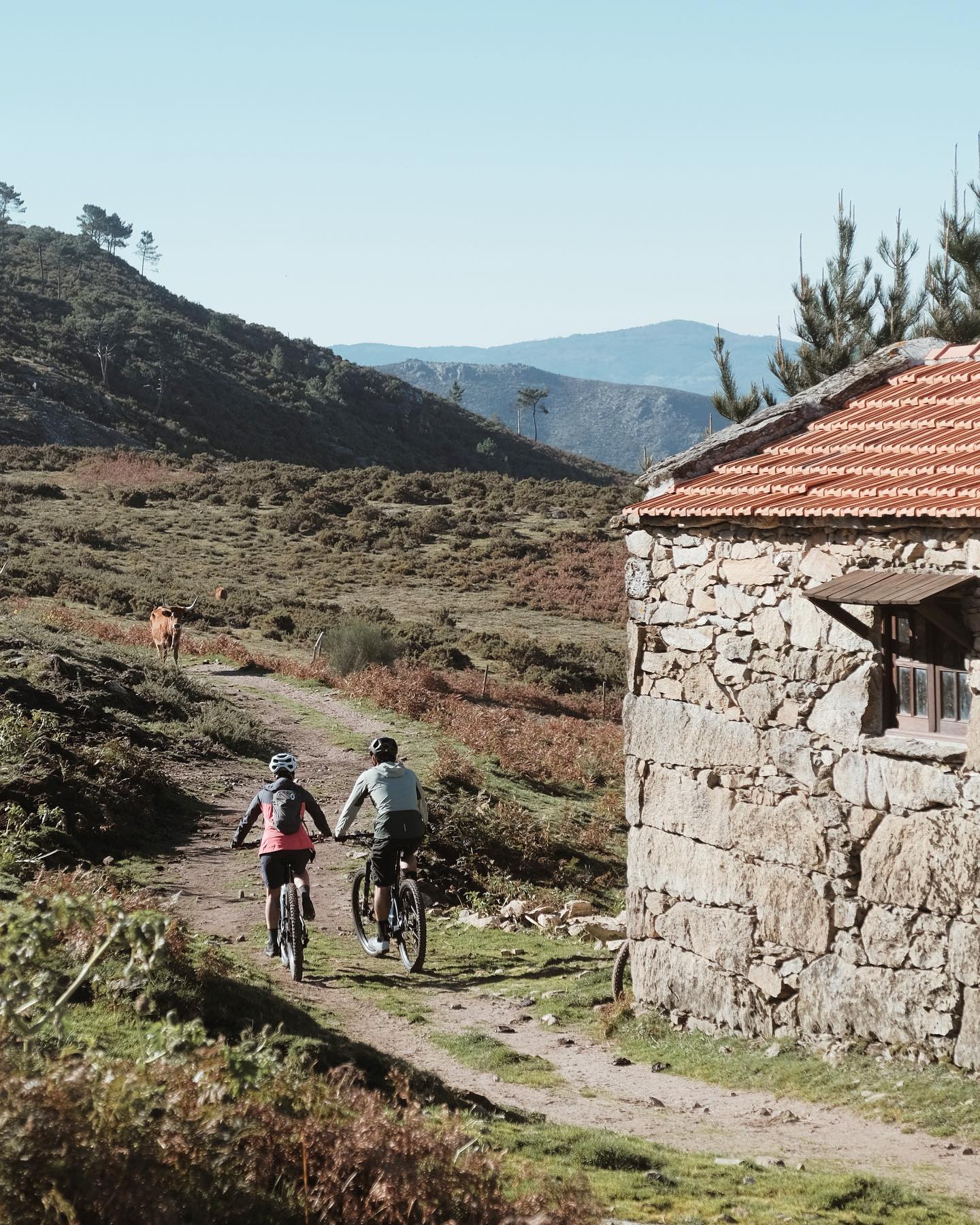 North Portugal sup holidays