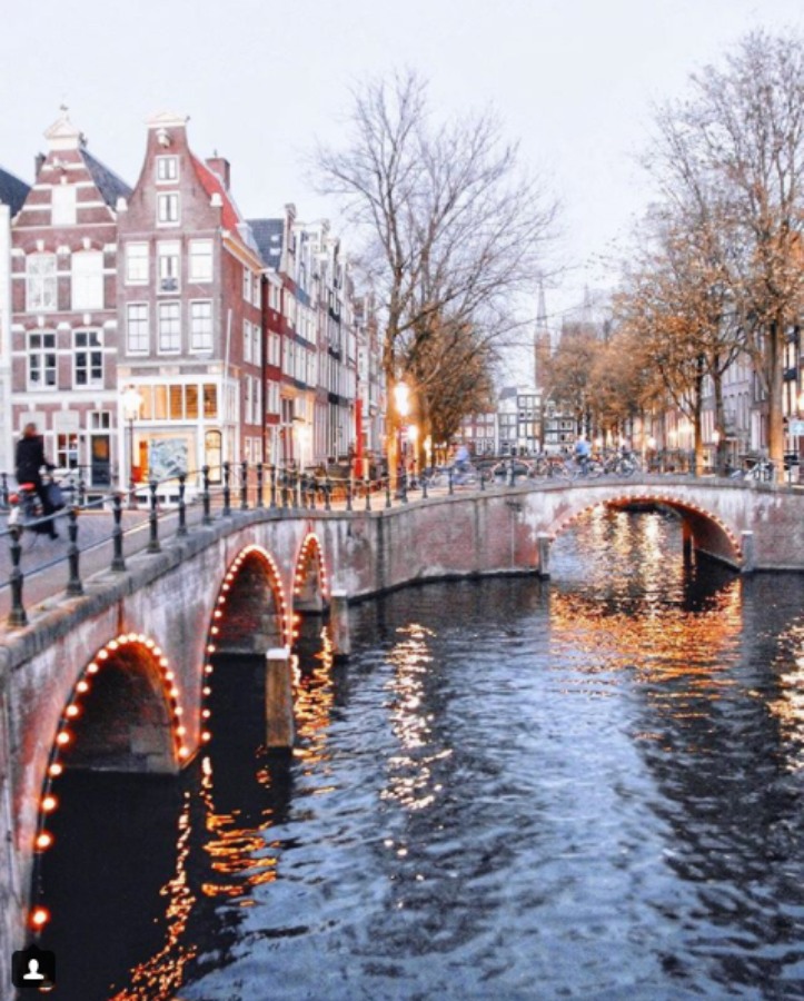 Bonaire + Amsterdam image